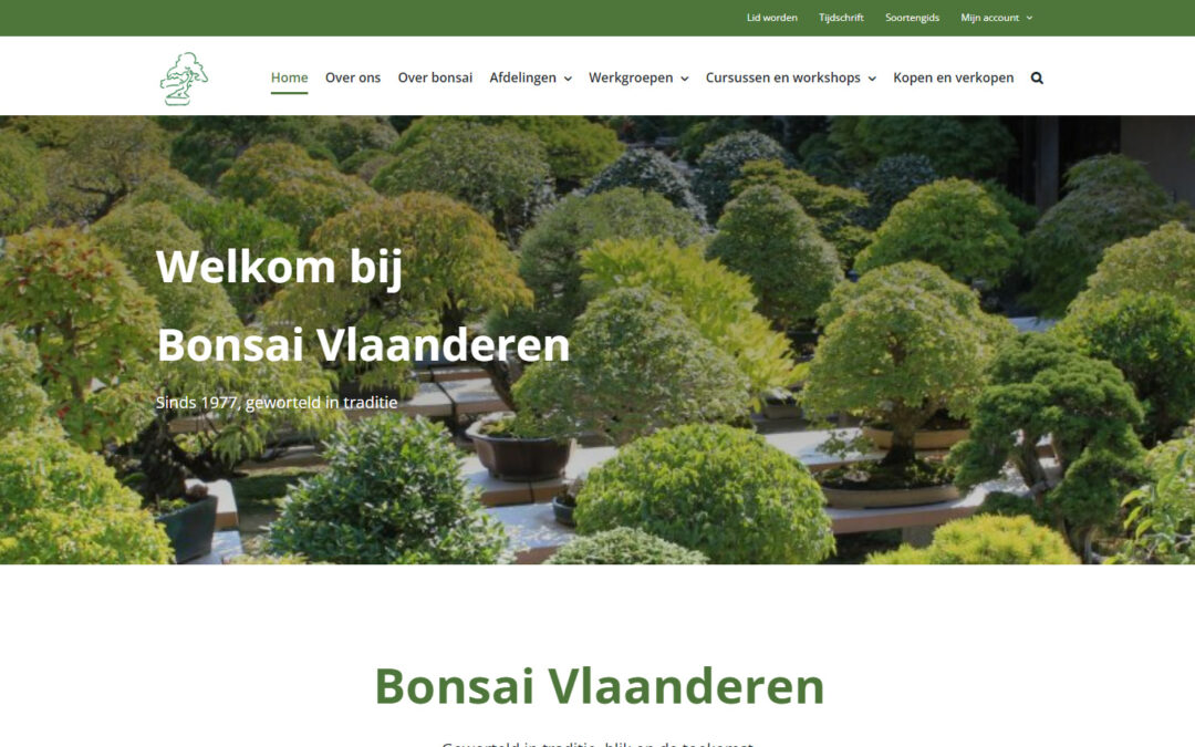 Bonsai Vlaanderen